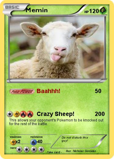 Pokemon Memin