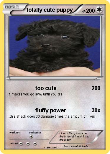 Pokemon totally cute puppy
