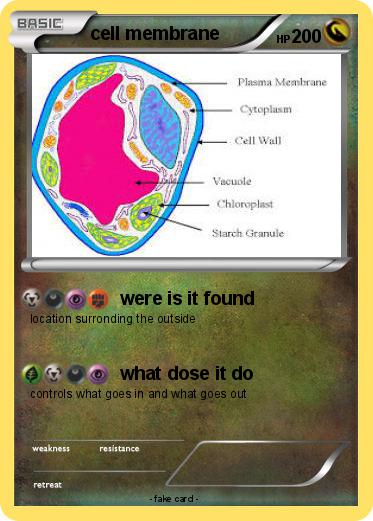 Pokemon cell membrane