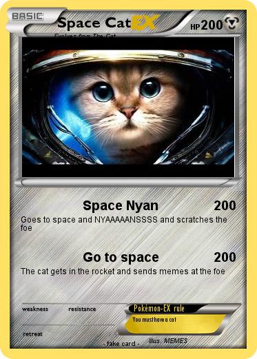 Pokemon Space Cat