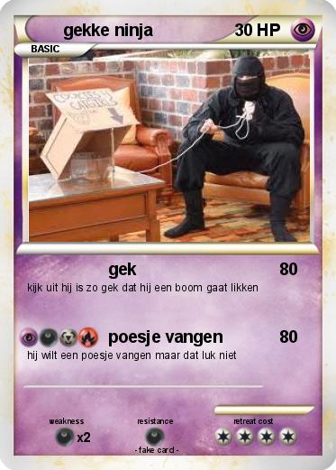Pokemon gekke ninja