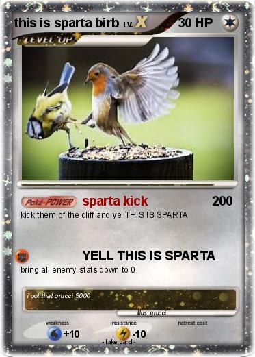 Pokemon this is sparta birb