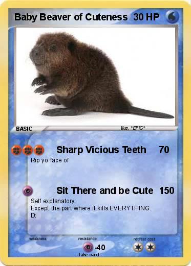 Pokemon Baby Beaver of Cuteness