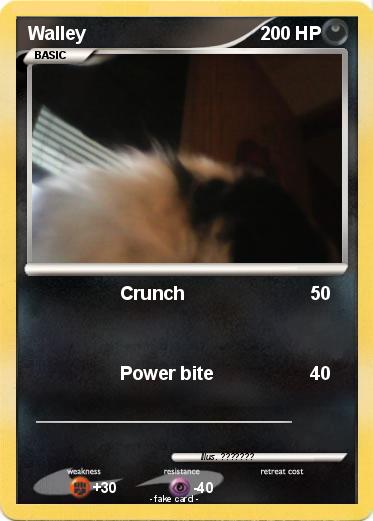 Pokemon Walley