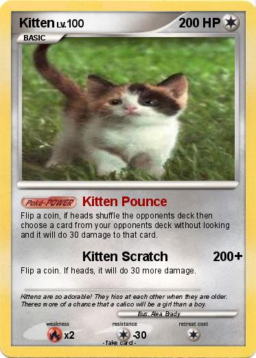 Pokemon Kitten