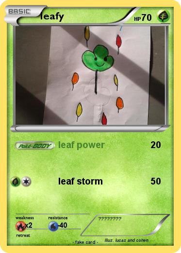 Pokemon leafy