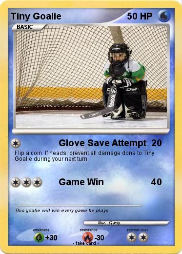 Pokemon Tiny Goalie