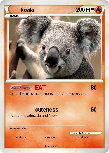 Pokemon koala