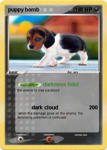 Pokemon puppy bomb