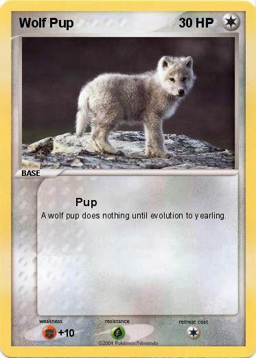 Pokemon Wolf Pup
