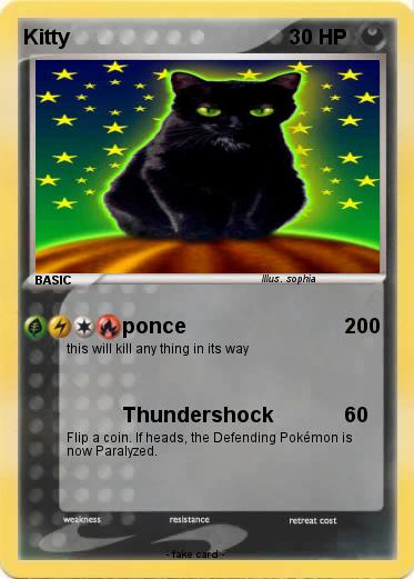 Pokemon Kitty
