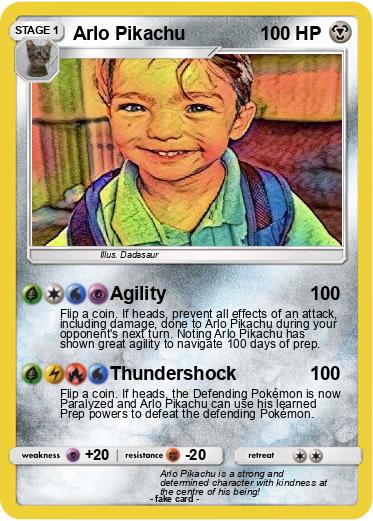 Pokemon Arlo Pikachu