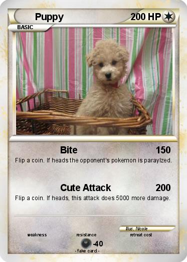 Pokemon Puppy