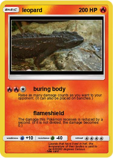 Pokemon leopard