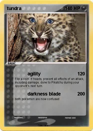 Pokemon tundra