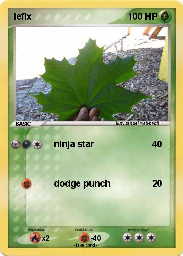 Pokemon lefix