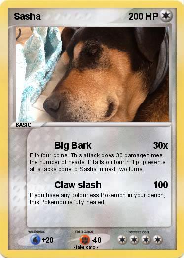 Pokemon Sasha