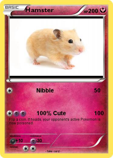 Pokemon Hamster