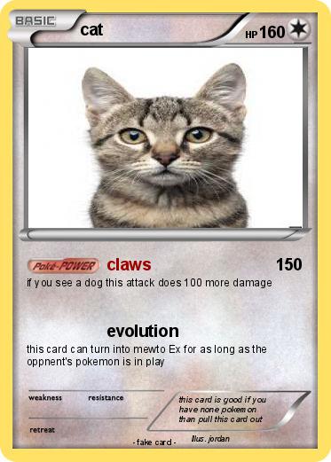 Pokemon cat