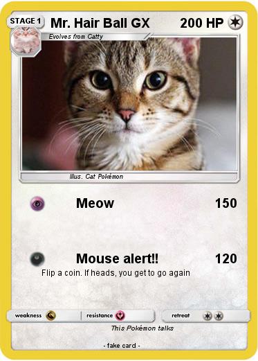 Pokemon Mr. Hair Ball GX