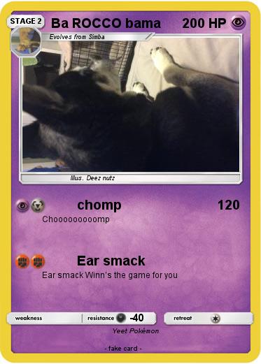 Pokemon Ba ROCCO bama