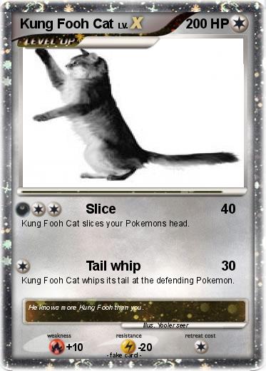 Pokemon Kung Fooh Cat