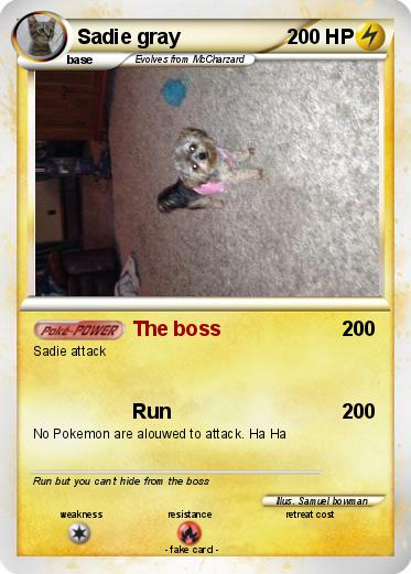 Pokemon Sadie gray