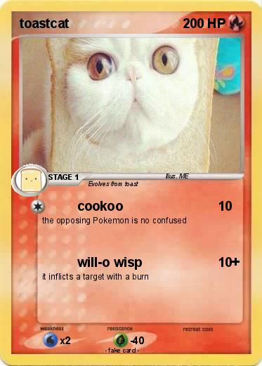Pokemon toastcat