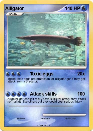 Pokemon Alligator