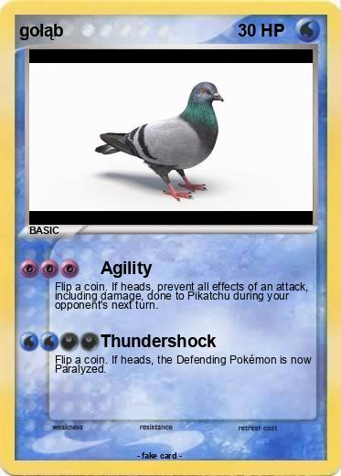 Pokemon gołąb