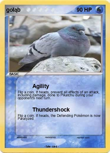 Pokemon gołąb