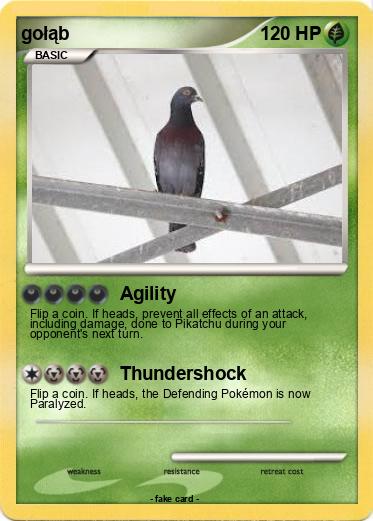 Pokemon gołąb