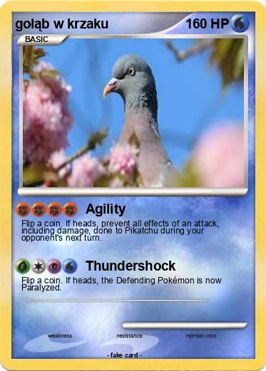 Pokemon gołąb w krzaku