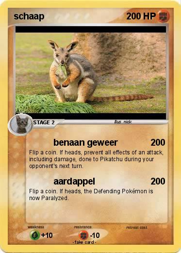 Pokemon schaap