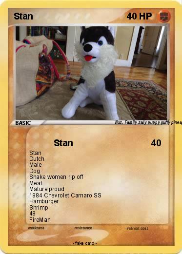 Pokemon Stan