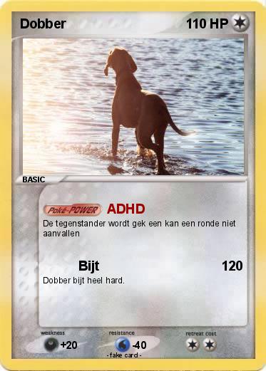 Pokemon Dobber