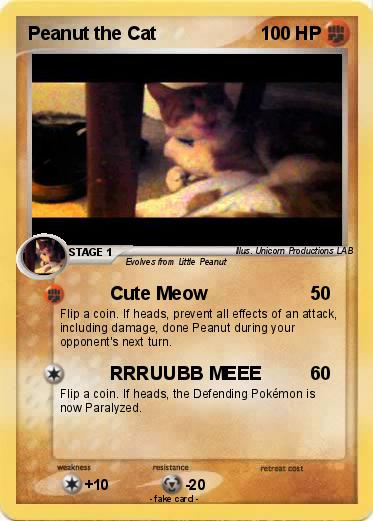 Pokemon Peanut the Cat