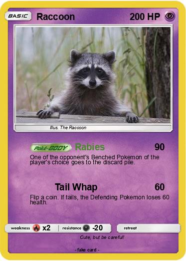 Pokemon Raccoon