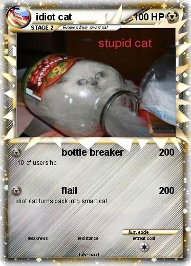 Pokemon idiot cat