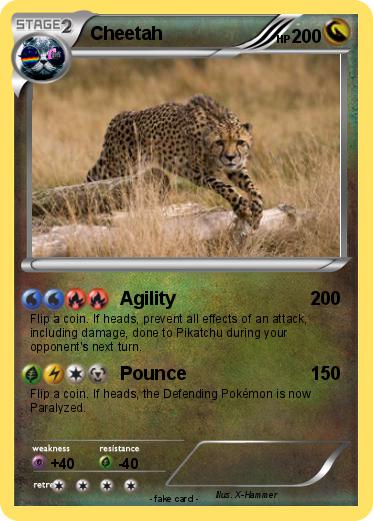 Pokemon Cheetah