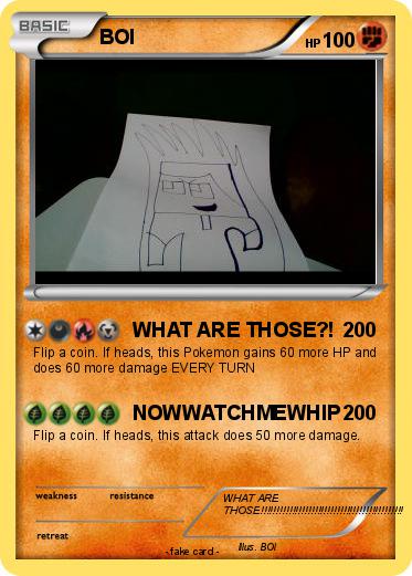 Pokemon BOI