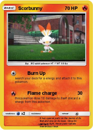 Pokemon Scorbunny