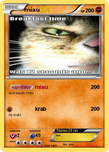 Pokemon miau