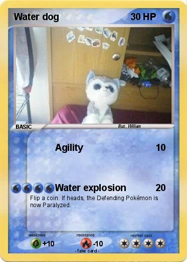 Pokemon Water dog