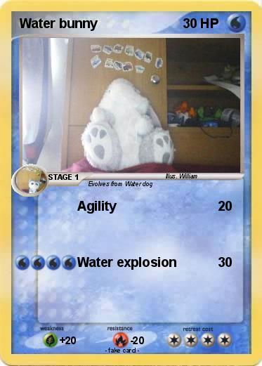Pokemon Water bunny