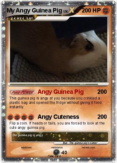 Pokemon My Angy Guinea Pig