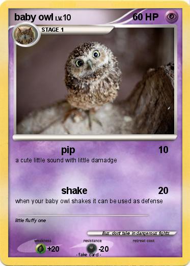 Pokemon baby owl