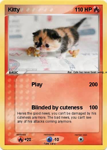 Pokemon Kitty