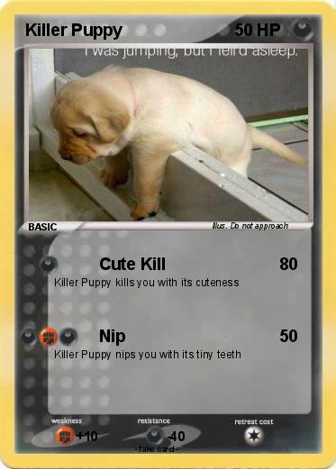 Pokemon Killer Puppy