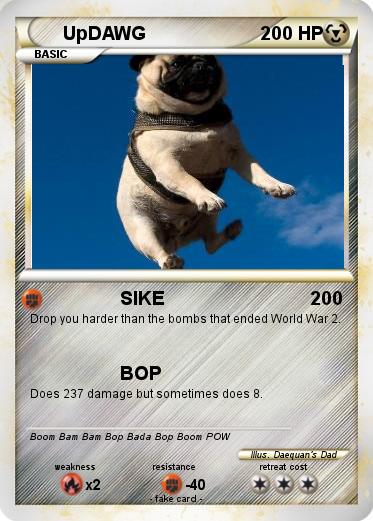 Pokemon UpDAWG